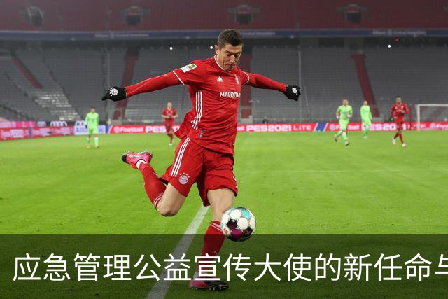 应急管理公益宣传大使的新任命与社会影响力